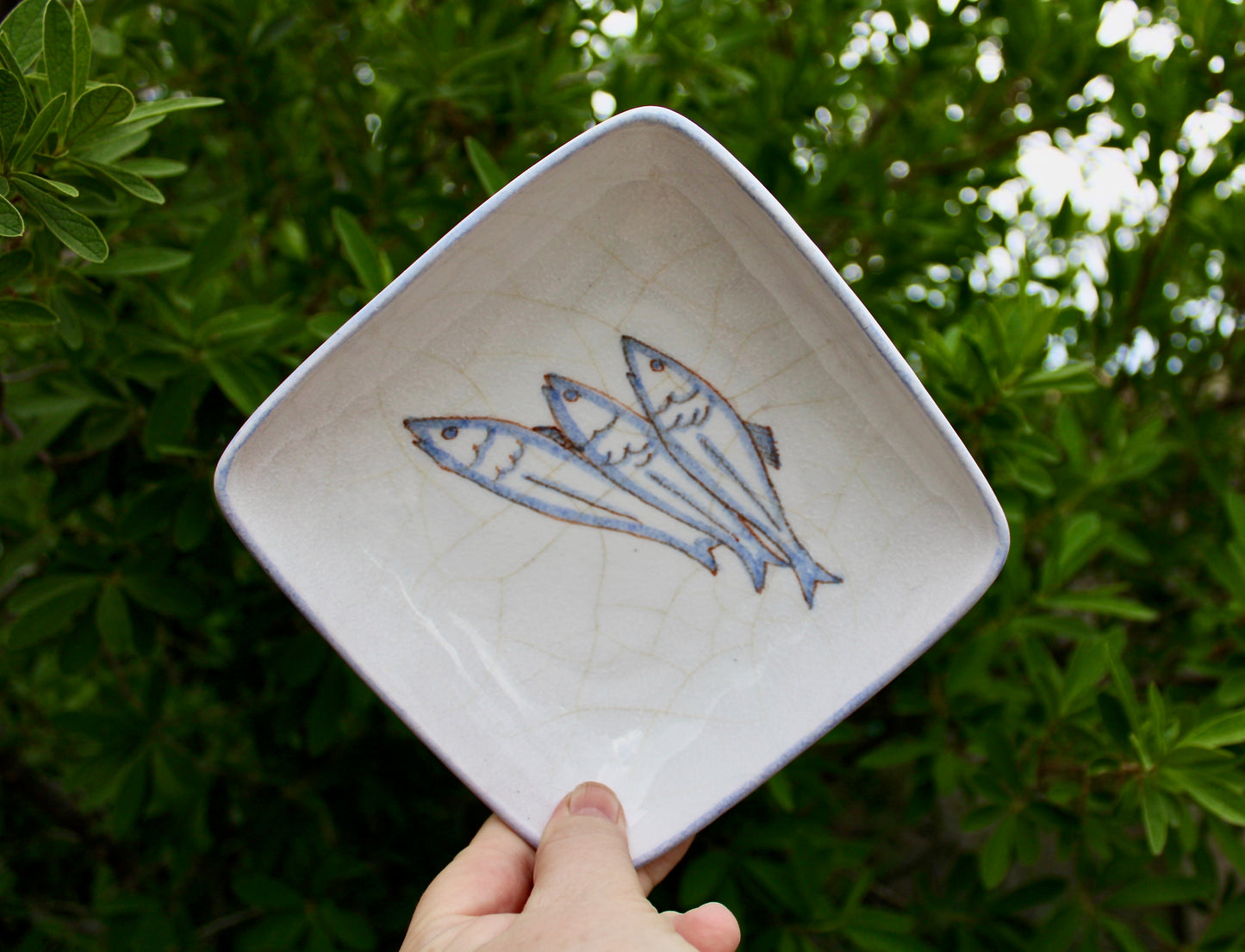 Ernestine Salerno, Trio of Sardine-like Fishes Tin White w/ Baby-Blue Rim, Vintage Mid 20th Century - Italy 1950s