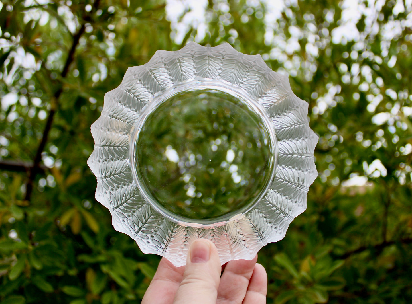 Jamaique by Lalique Ashtray Bowl - Vintage Crystal Jamaica Low Bowl - Ashtray or Catchall, 20th Century European Art-Glass