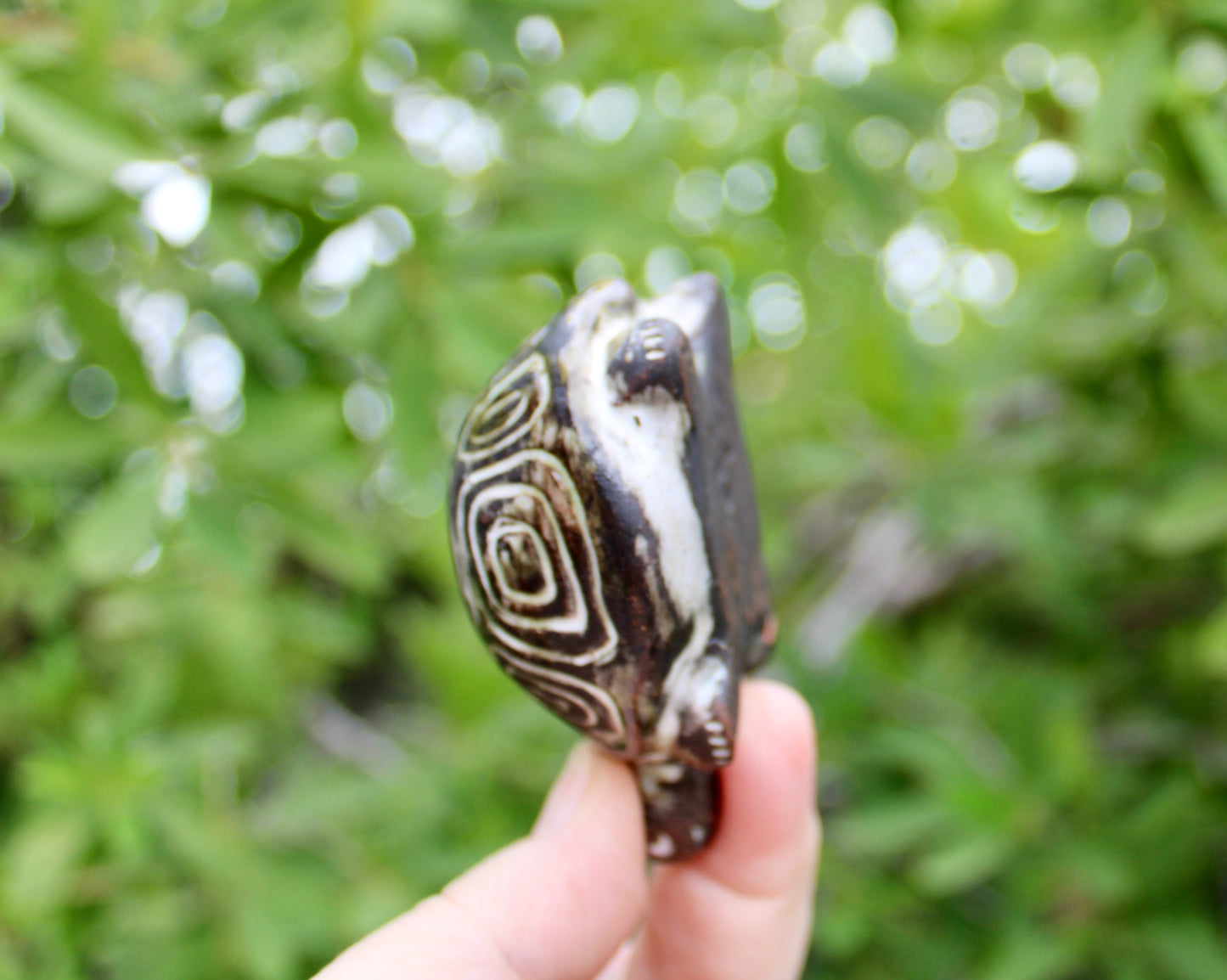 Gudrun Baudisch-Wittke Small Turtle Figurine - Gorgeous Tortoise for Hallstatt Keramik, Crafted in 20th Century Austria