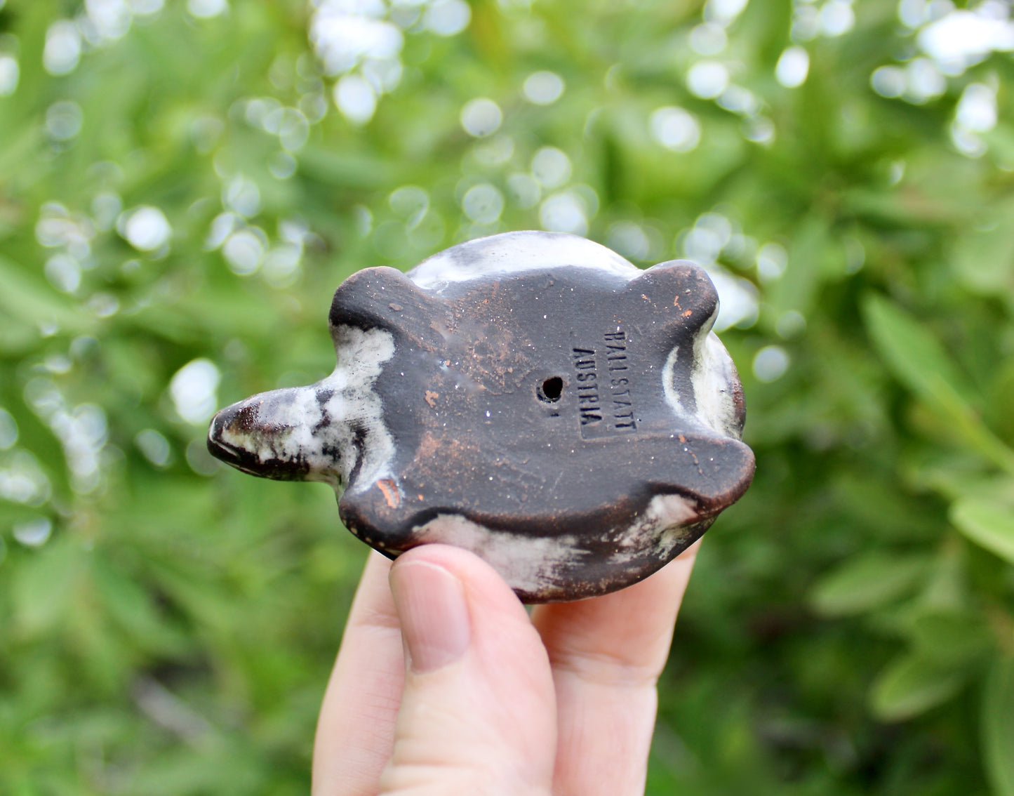 Gudrun Baudisch-Wittke Small Turtle Figurine - Gorgeous Tortoise for Hallstatt Keramik, Crafted in 20th Century Austria