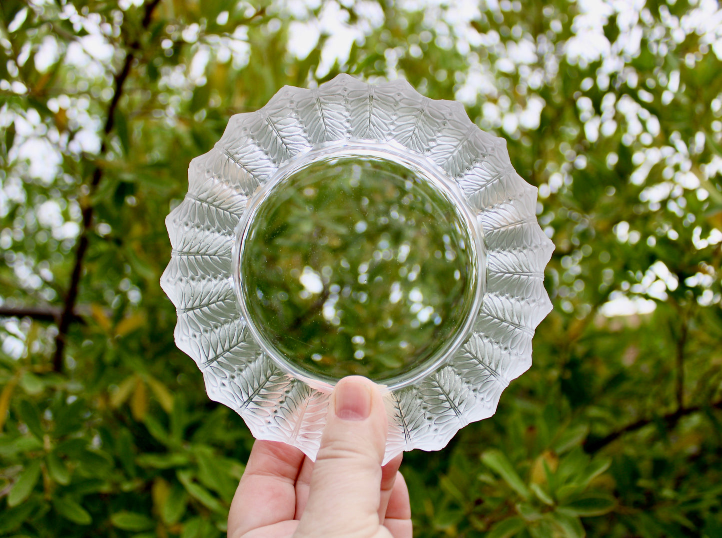 Jamaique by Lalique Ashtray Bowl - Vintage Crystal Jamaica Low Bowl - Ashtray or Catchall, 20th Century European Art-Glass